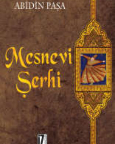 Abidin Paşa Mesnevi Şerhi
