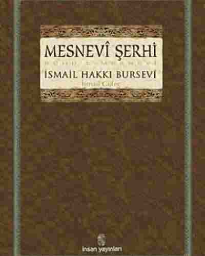 Mesnevi Şerhi