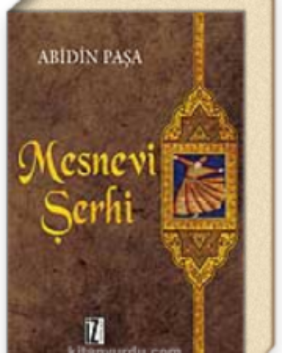 Abidin Paşa Mesnevi Şerhi